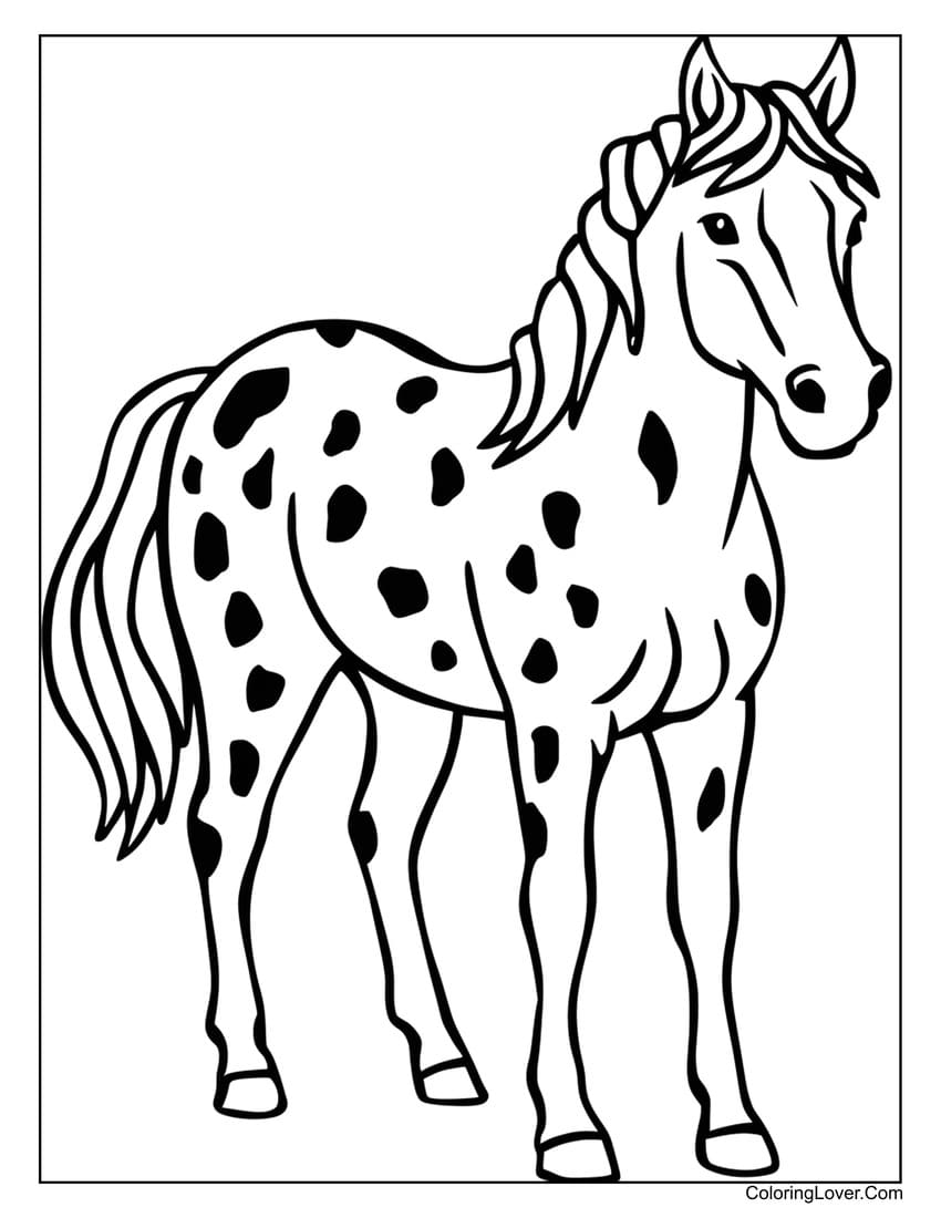 Appaloosa Horse Coloring Page