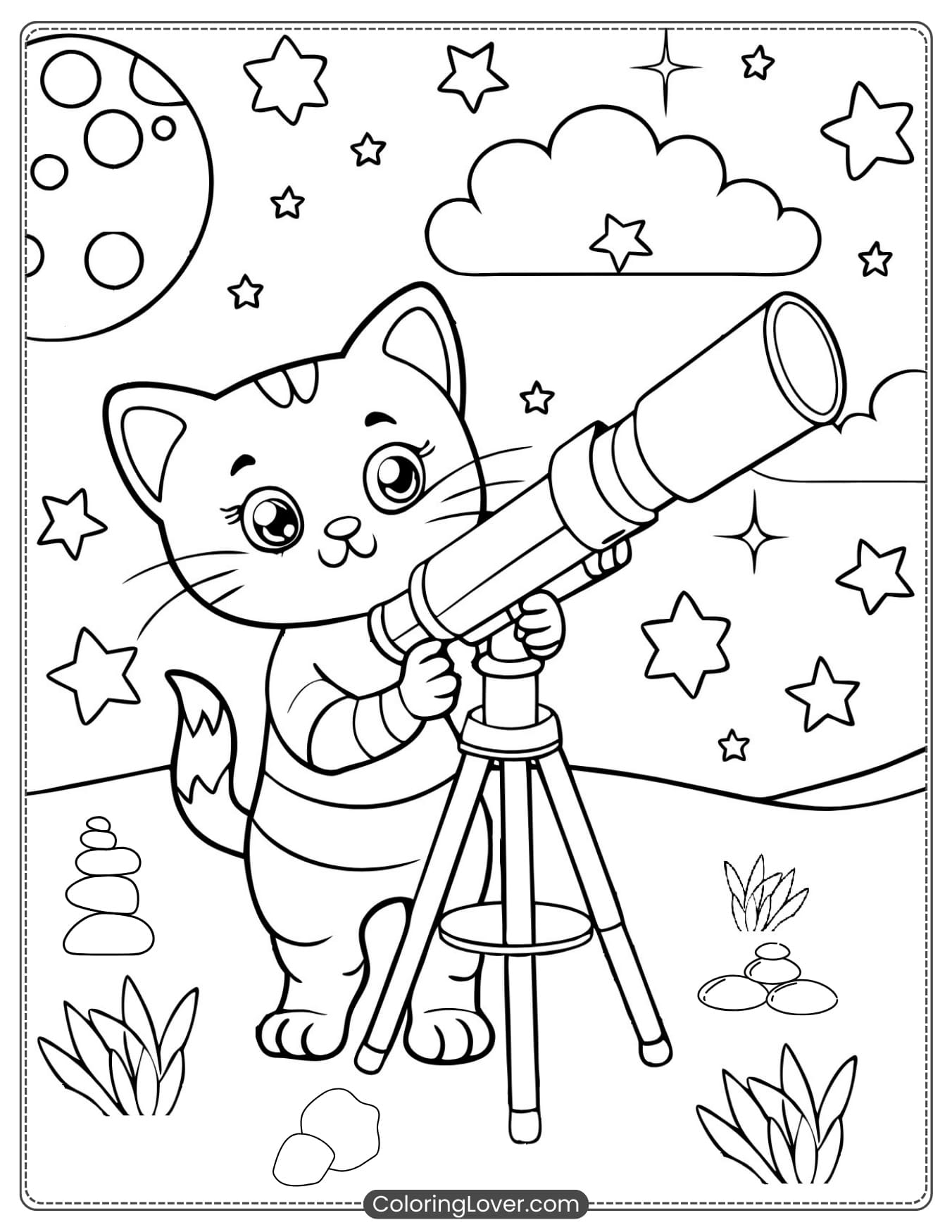 Kitten Watching Stars with a Telescope