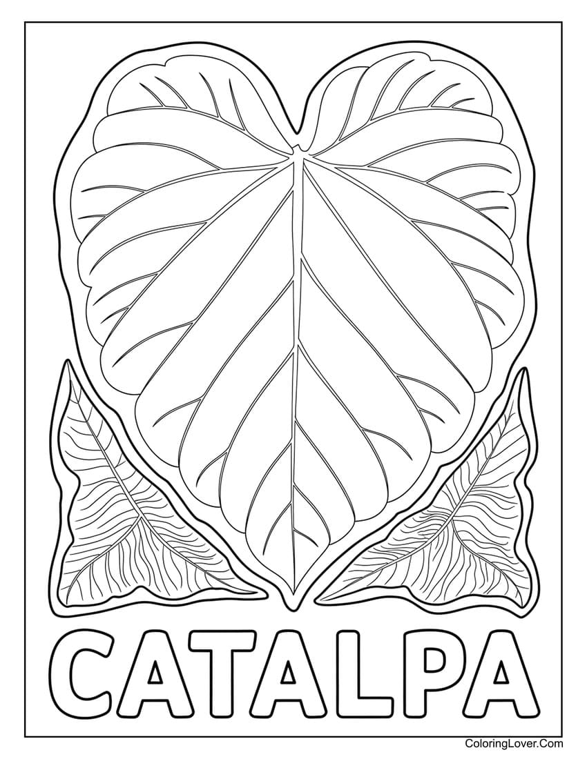 Catalpa leaf large shape coloring page