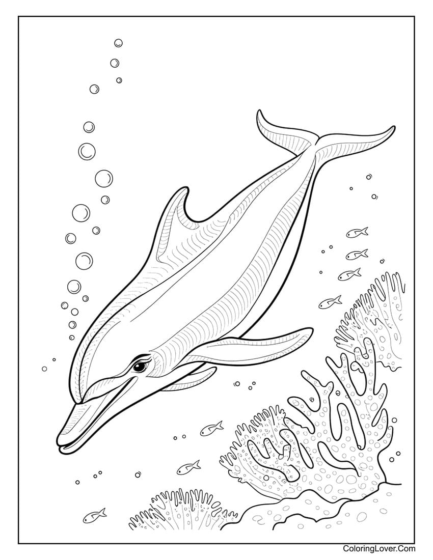 Dolphin swimming with coral reef and fish coloring page