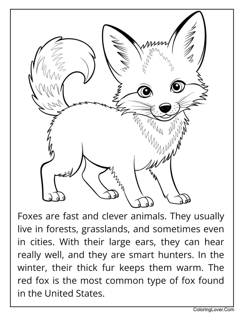 fox coloring page for kids