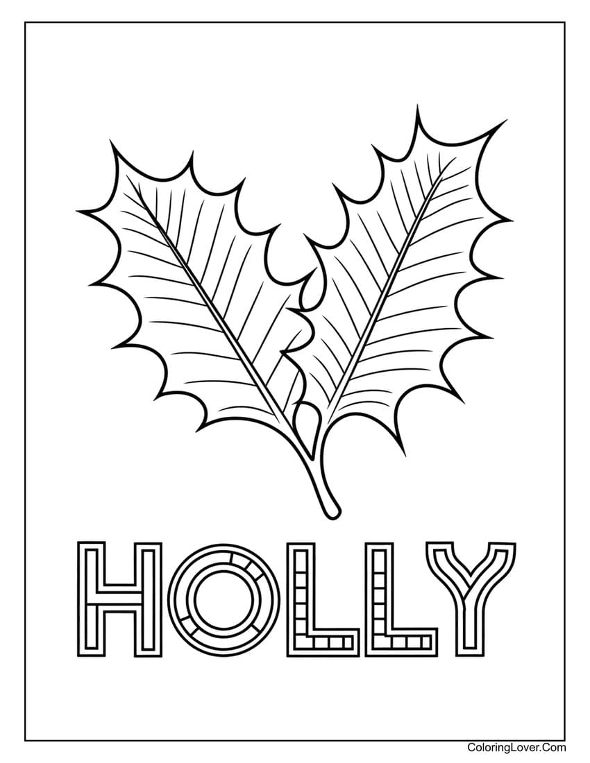 Holly leaf drawing for kids coloring page