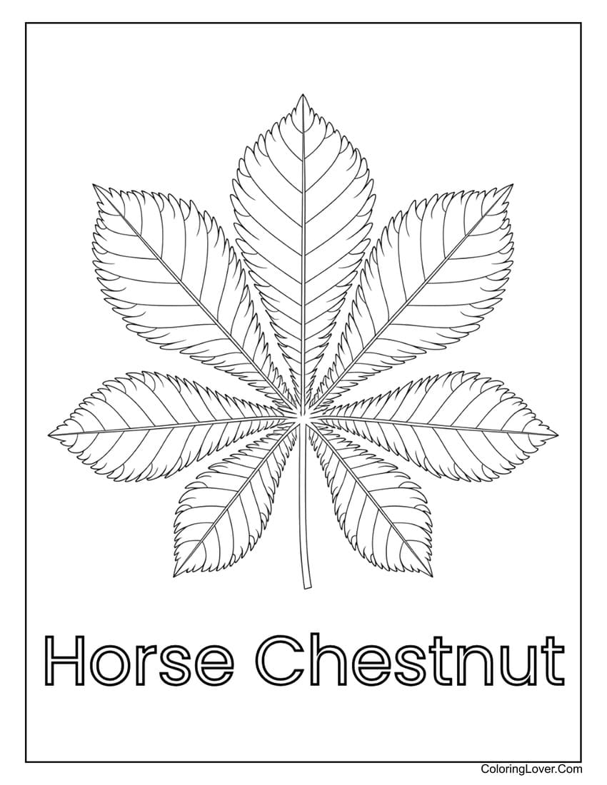 Horse chestnut leaf coloring page for kids