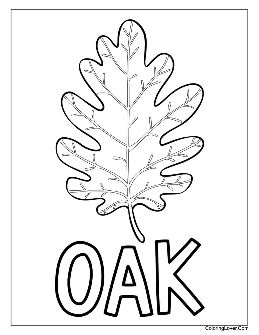 Oak leaf coloring sheet with bold outlines