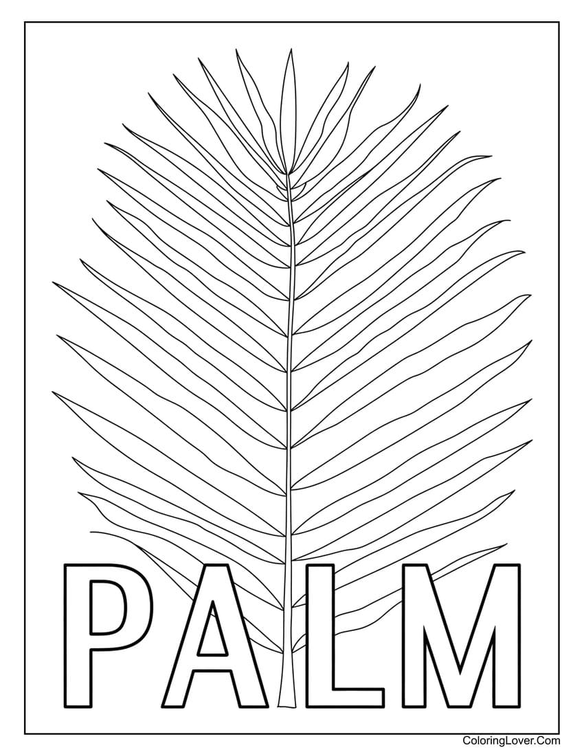 Palm leaf coloring page with simple lines