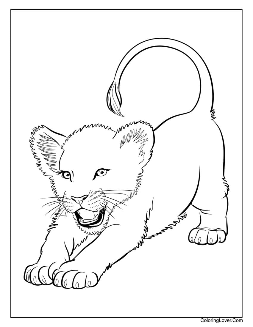 Playful baby lion ready to pounce coloring sheet