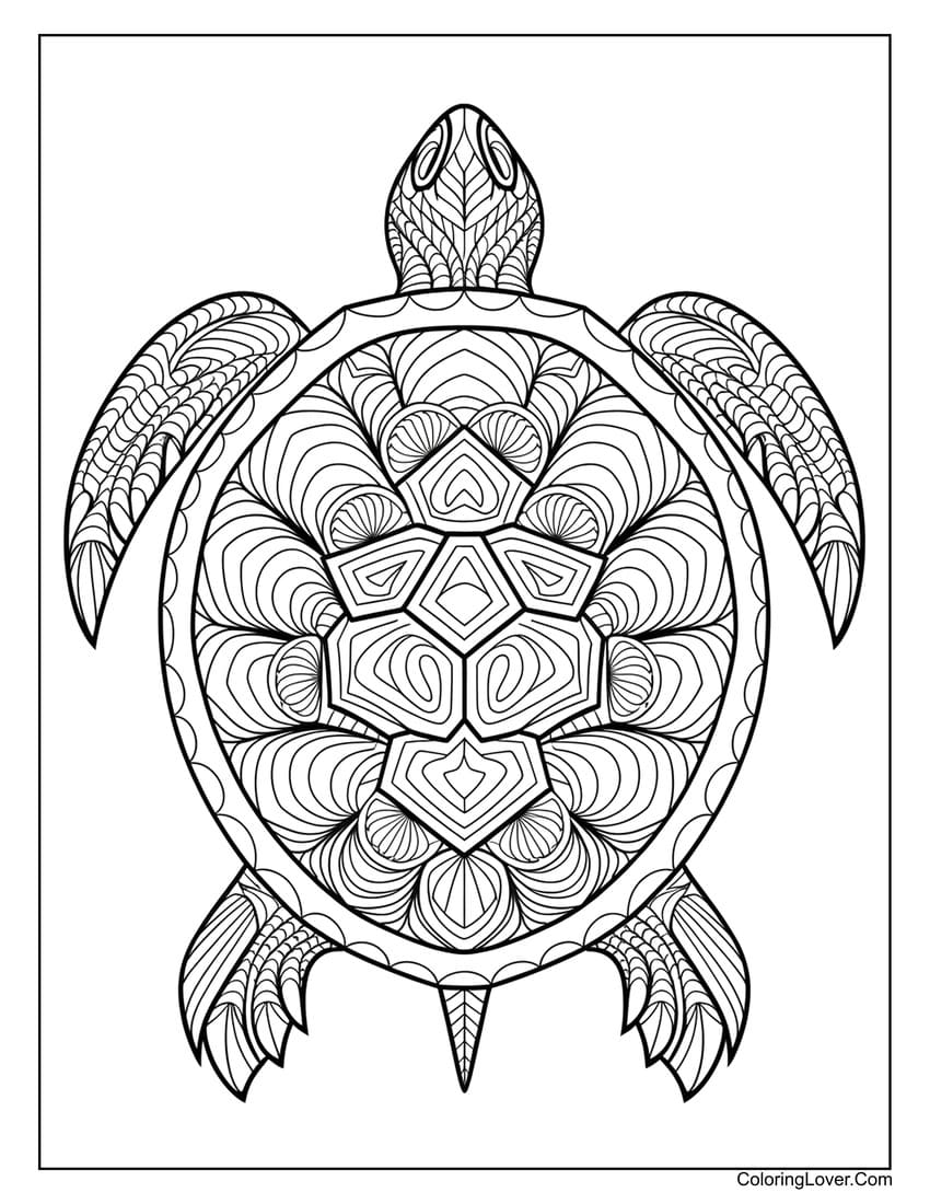 ornamental turtle mandala coloring page for adults
