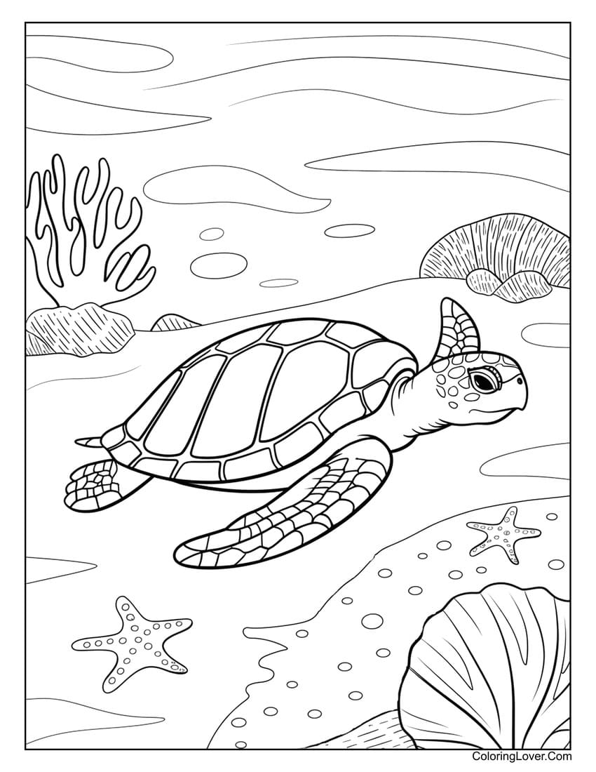 sea turtle coral reef coloring sheet
