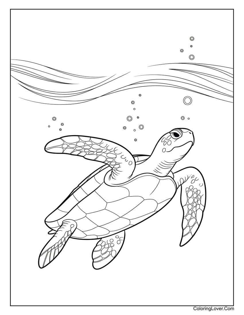 sea turtle underwater coloring page with bubbles