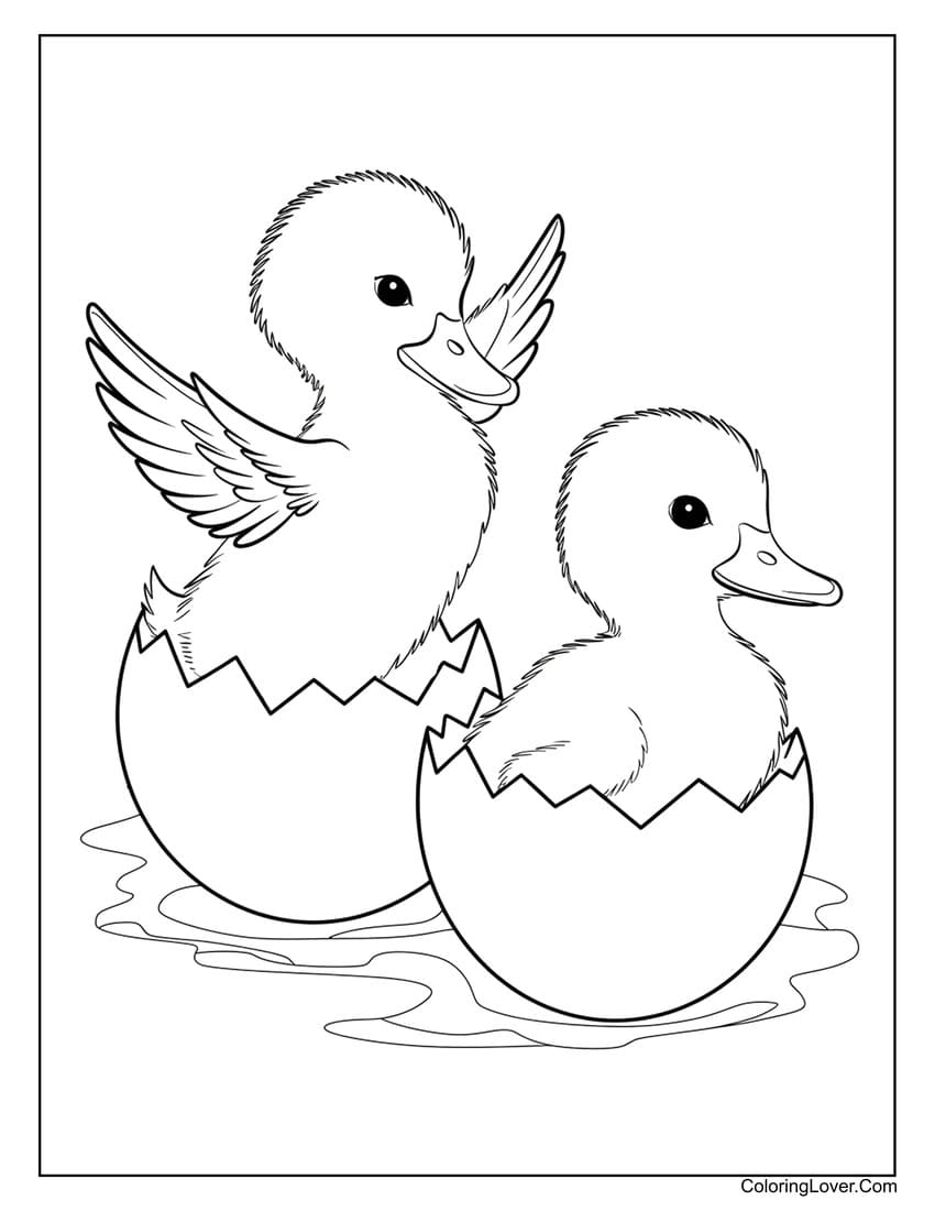 two ducklings in eggs coloring page
