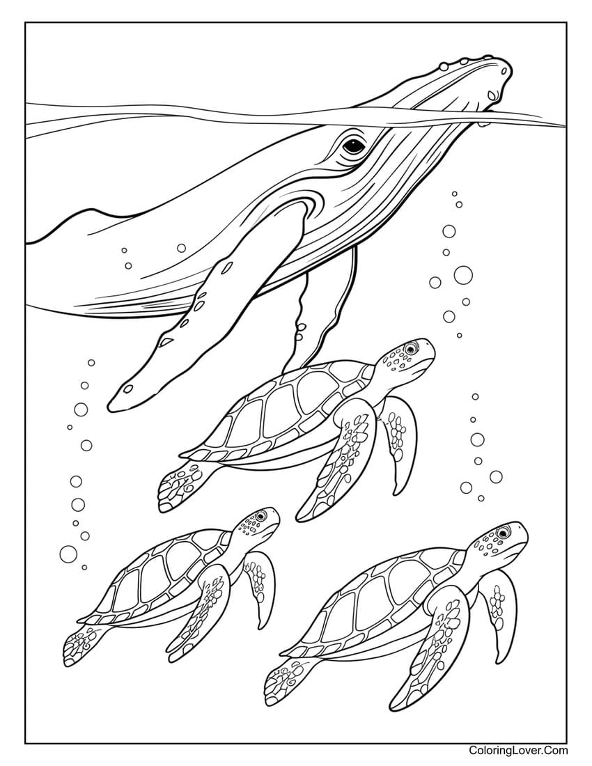 whale and turtles coloring page with bubbles