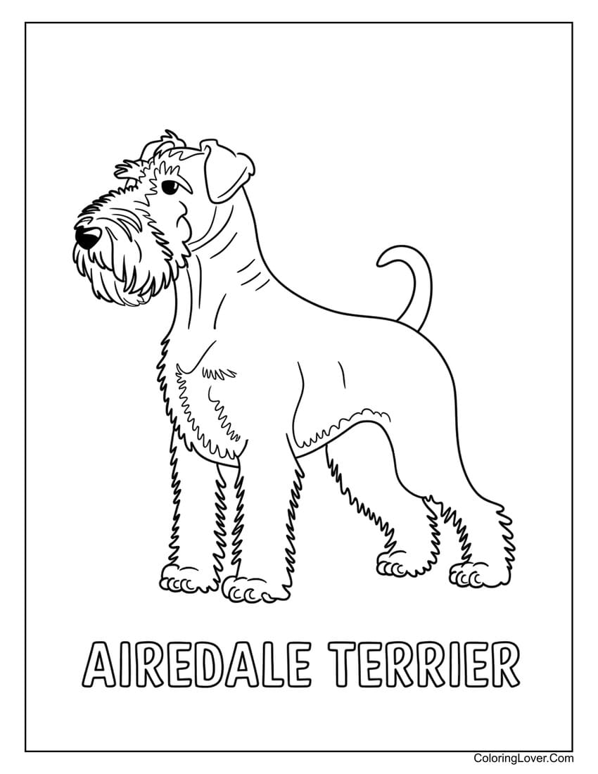 Airedale Terrier coloring sheet