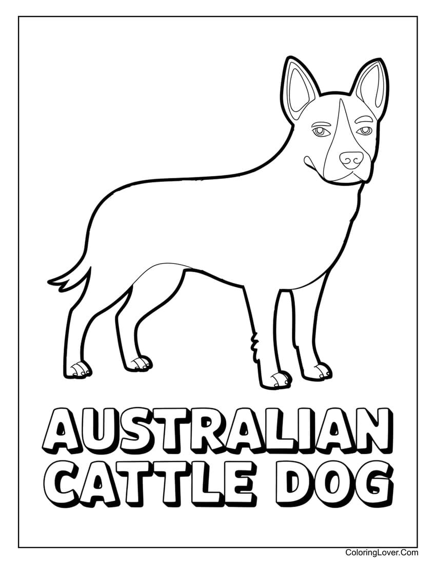 Australian cattle dog coloring page