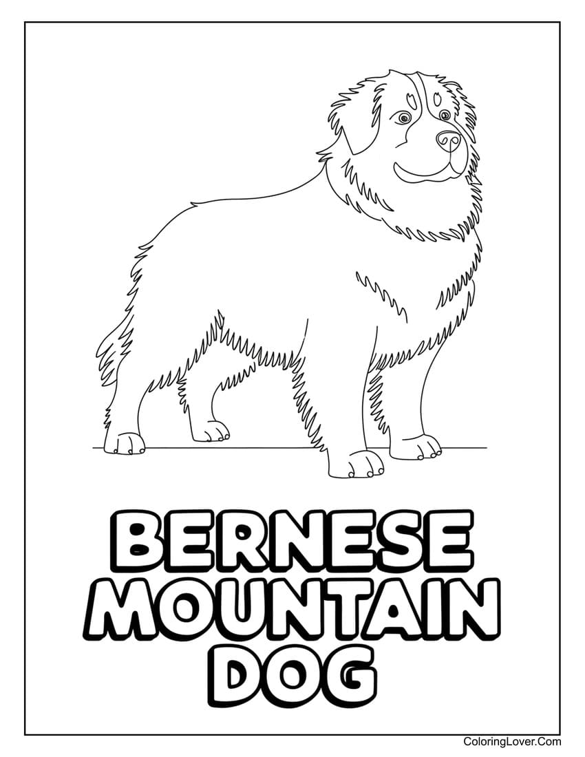 Bernese Mountain Dog coloring page