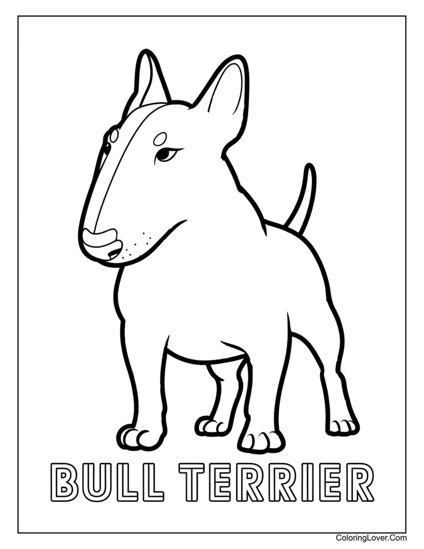 Bull Terrier coloring sheet