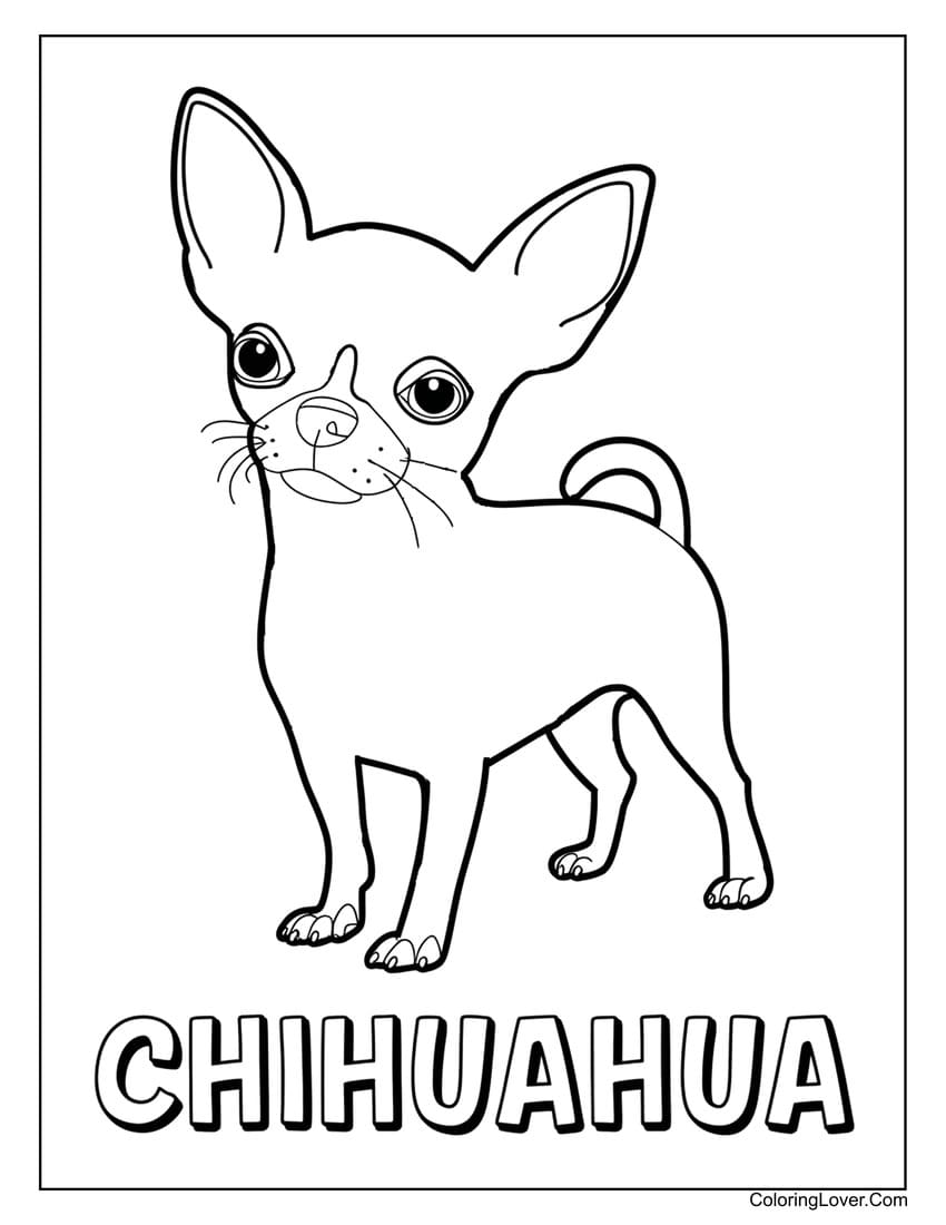 Chihuahua dog coloring page