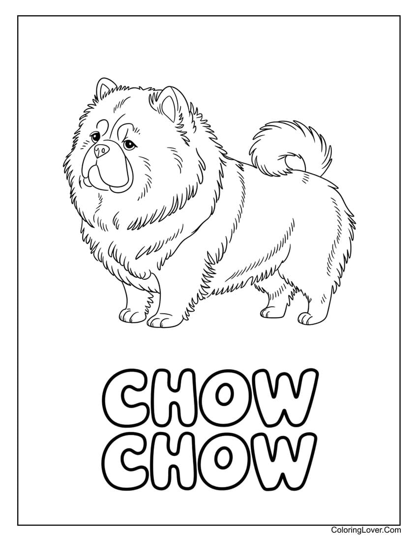 Chow Chow coloring sheet