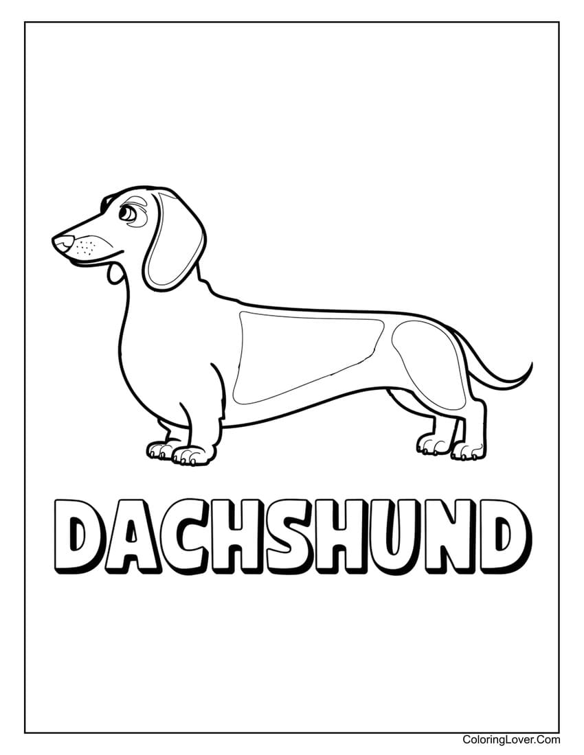 Cute dachshund coloring page