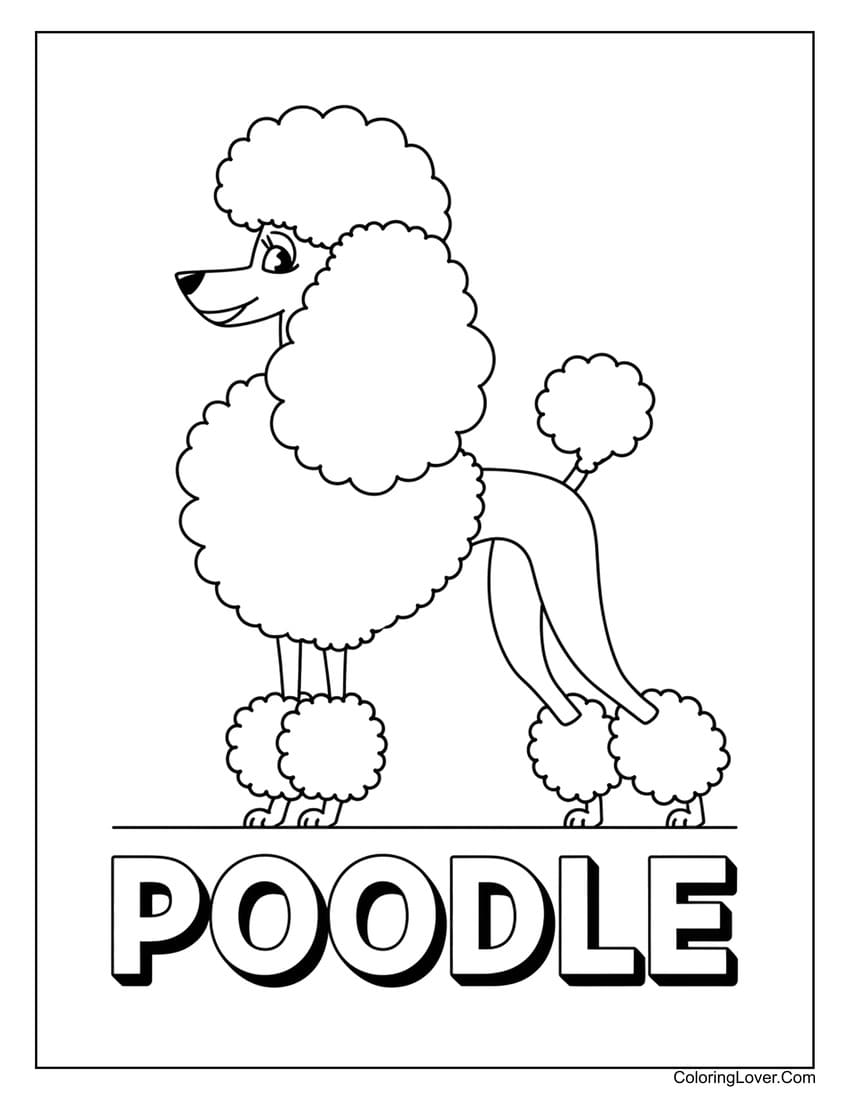 Poodle coloring page for kids