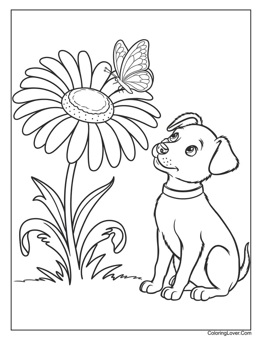 Puppy looking at butterfly coloring page