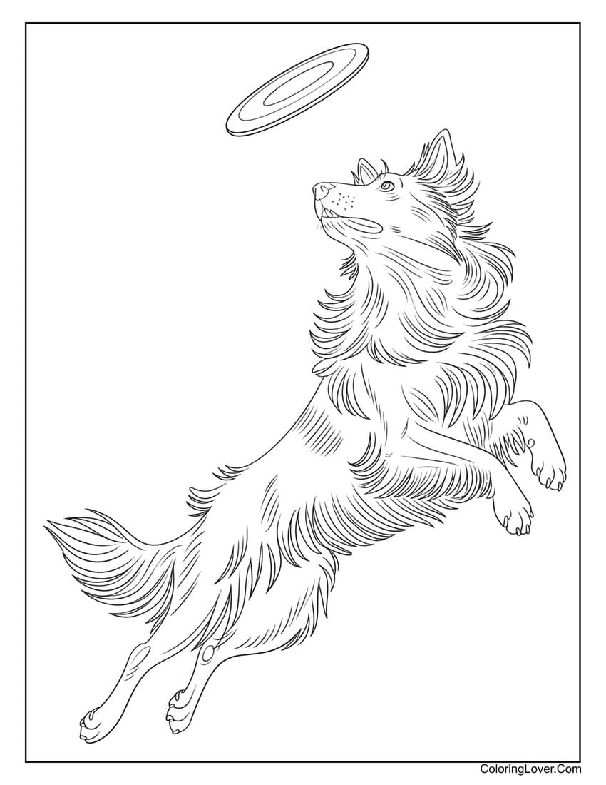 Realistic dog jumping for frisbee coloring page for adults