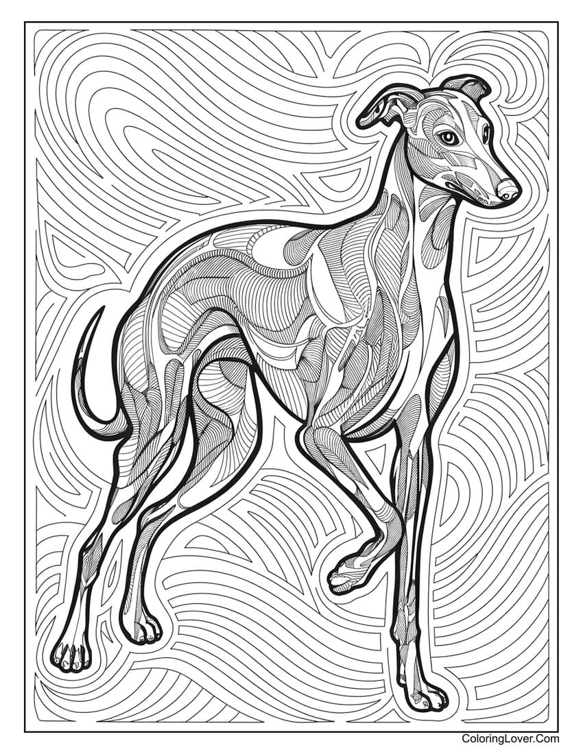 Realistic greyhound art coloring page