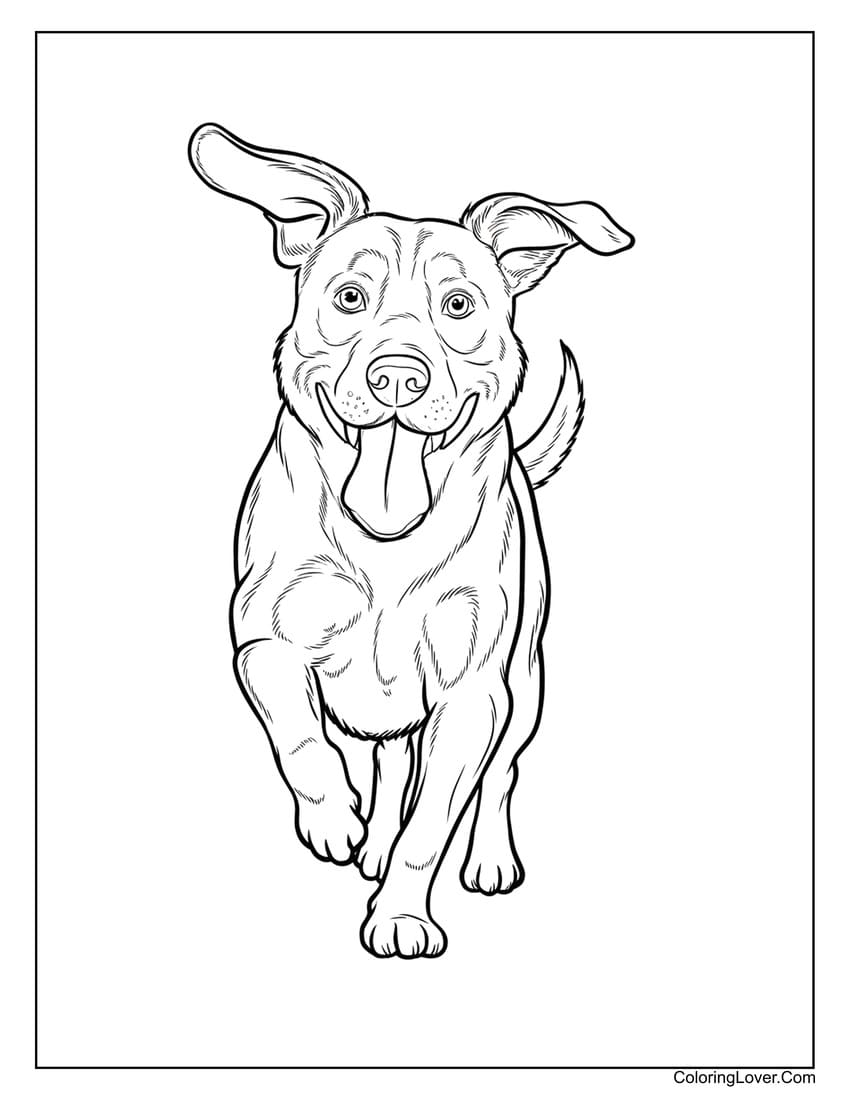 Realistic running dog coloring page for adults