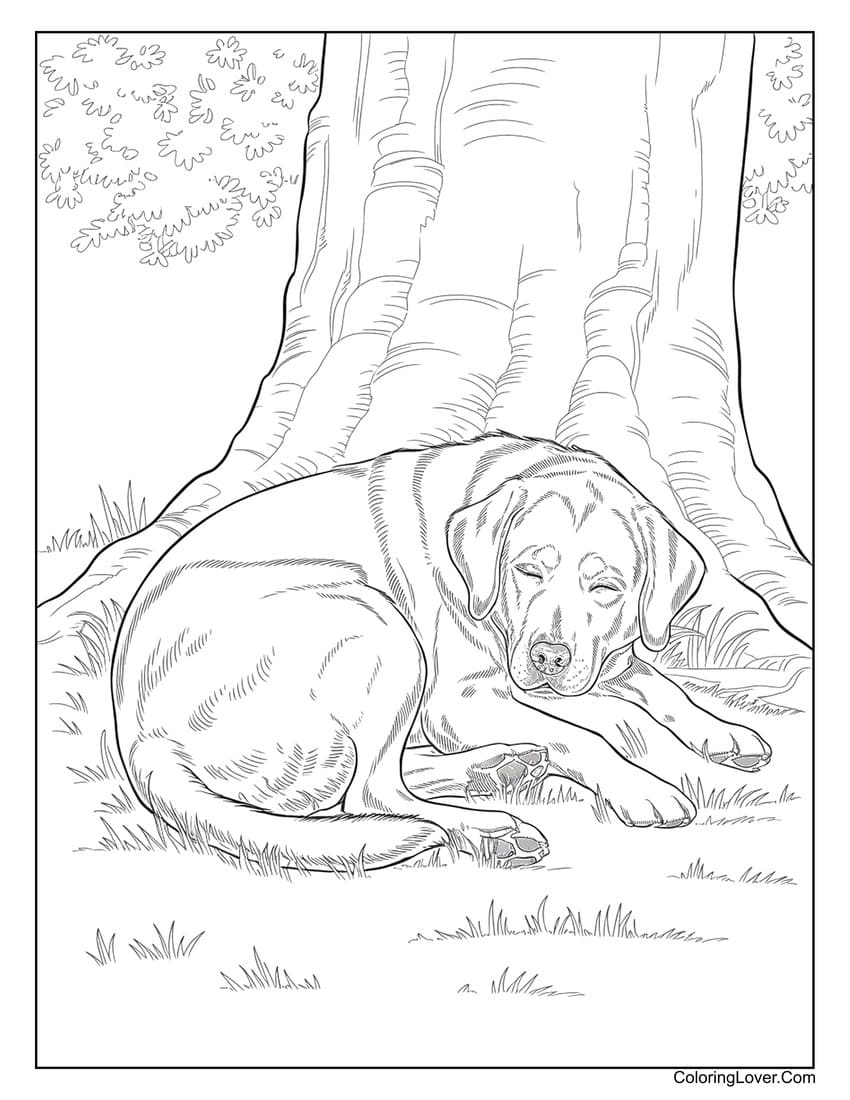 Realistic sleeping dog under tree coloring page for adults