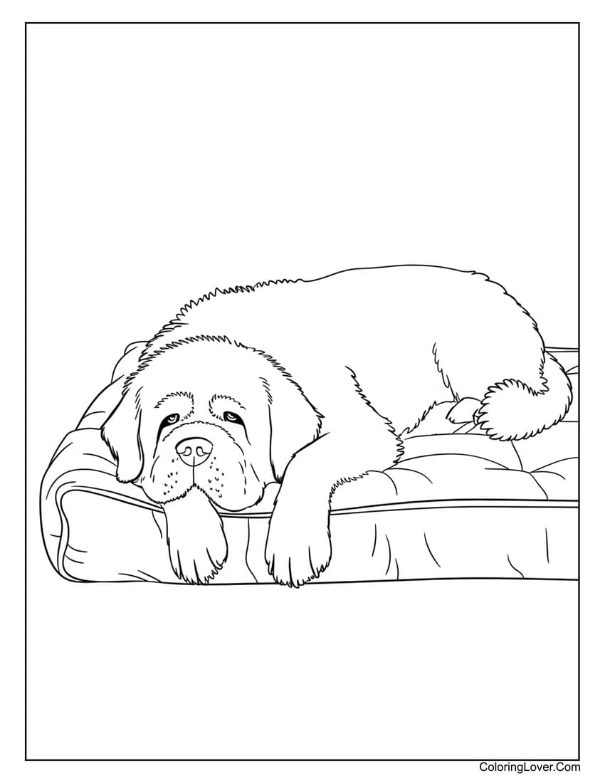 Relaxing dog on bed coloring sheet for children