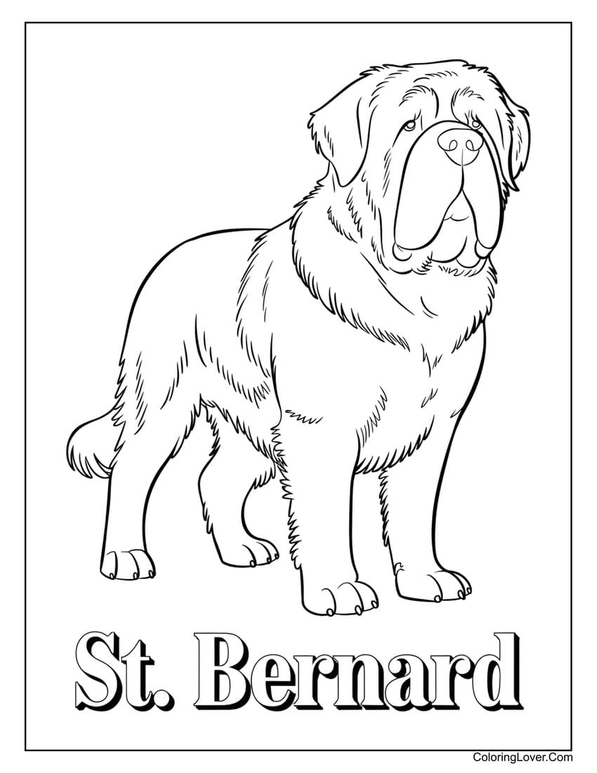 St. Bernard dog coloring sheet