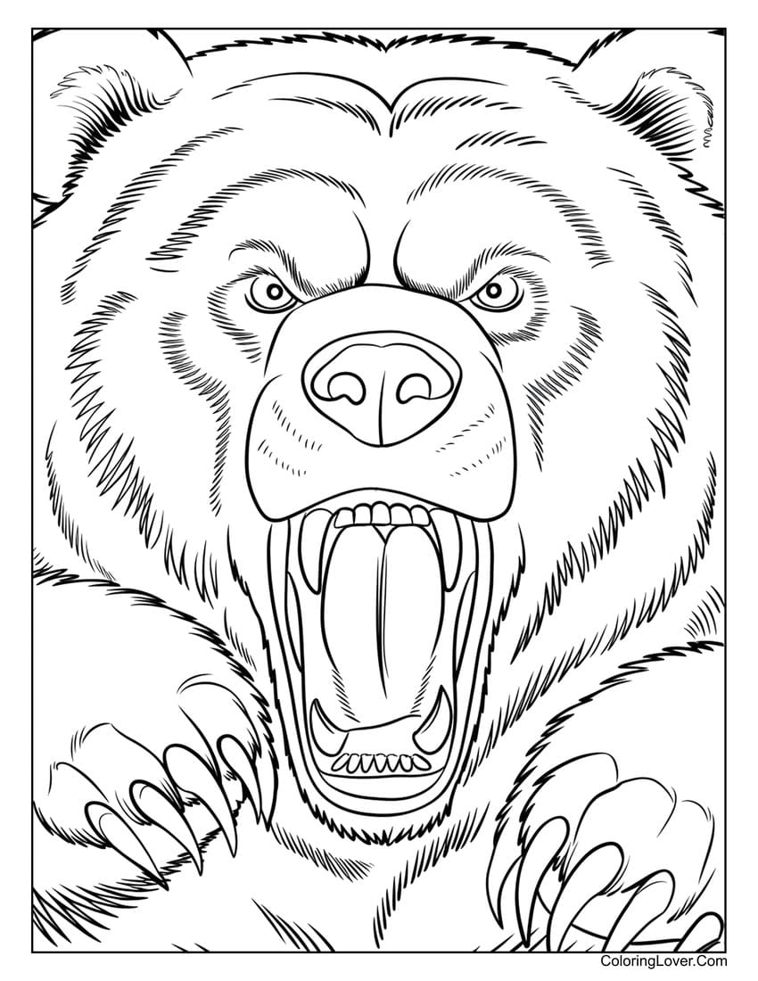 Angry grizzly bear roaring fiercely coloring page for adults