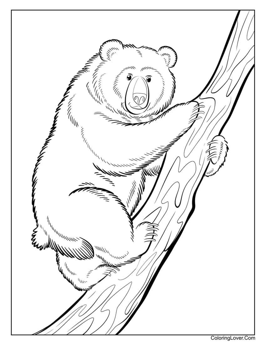 Black bear climbing a tree coloring page