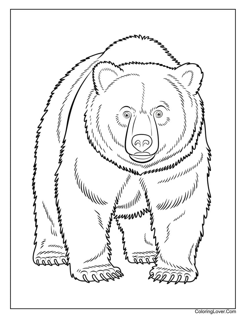 Black bear standing and staring coloring page