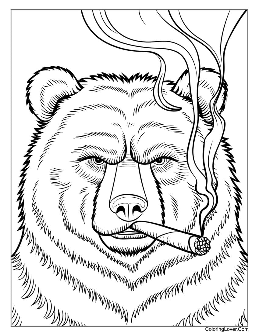 Grizzly bear smoking a cigar coloring page for adults