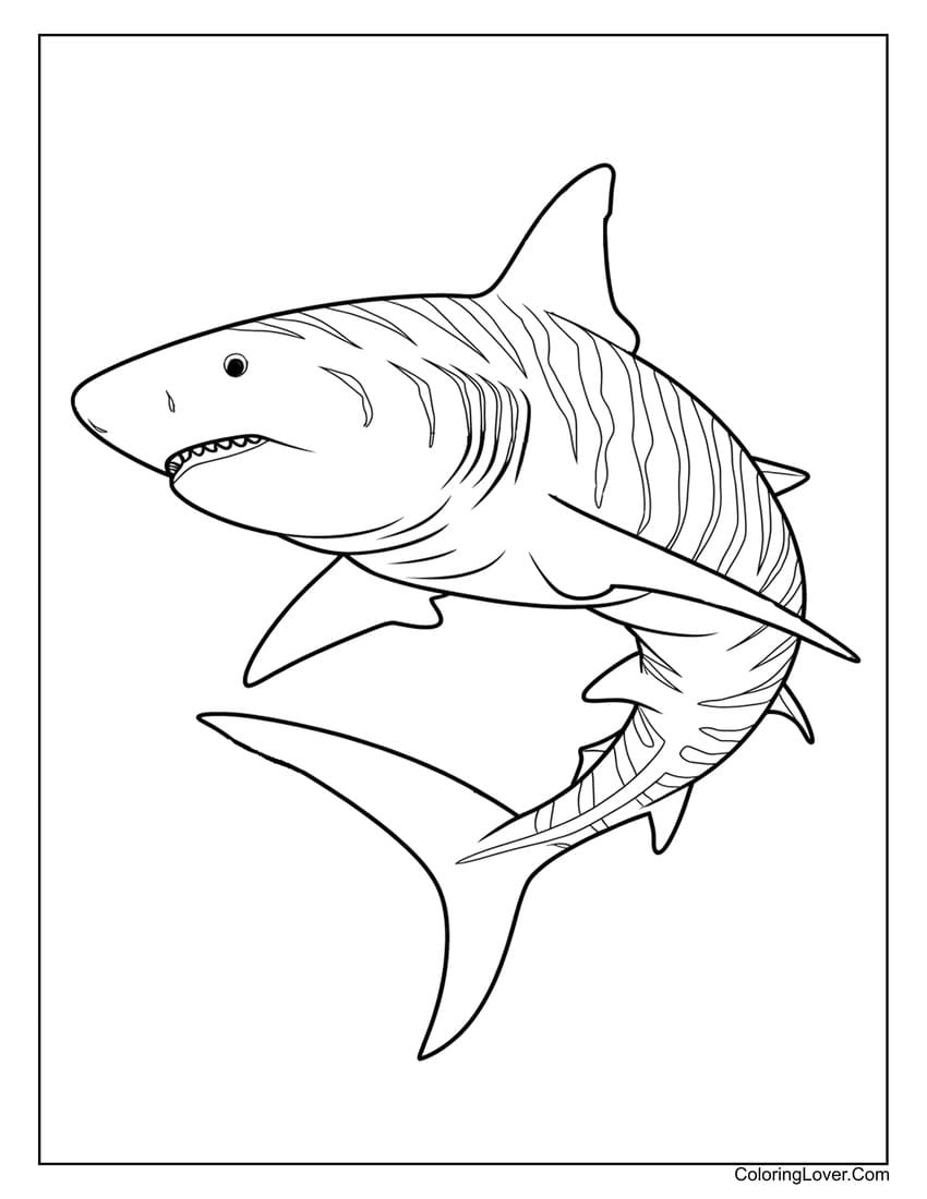 Realistic Tiger Shark Coloring Page for Kids 