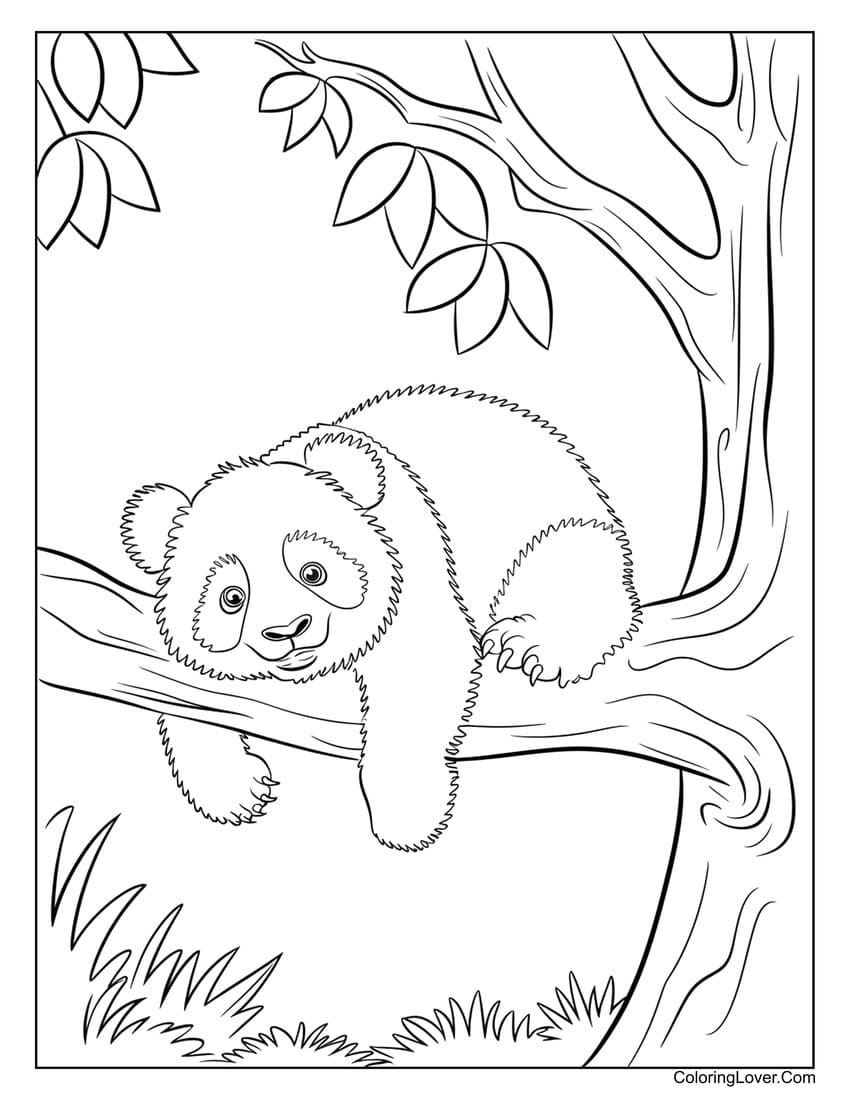 Relaxed panda bear lying on a tree branch coloring page