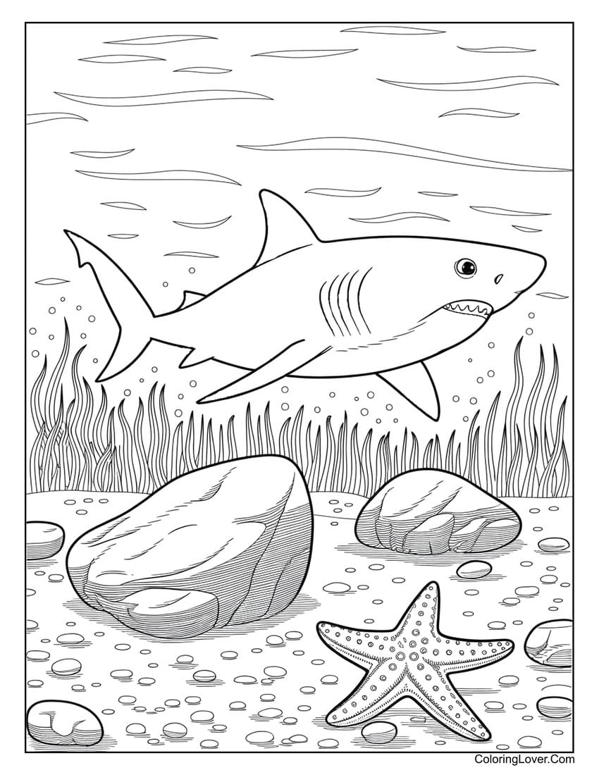 Shark Exploring Rocky Seafloor with Starfish Coloring Page