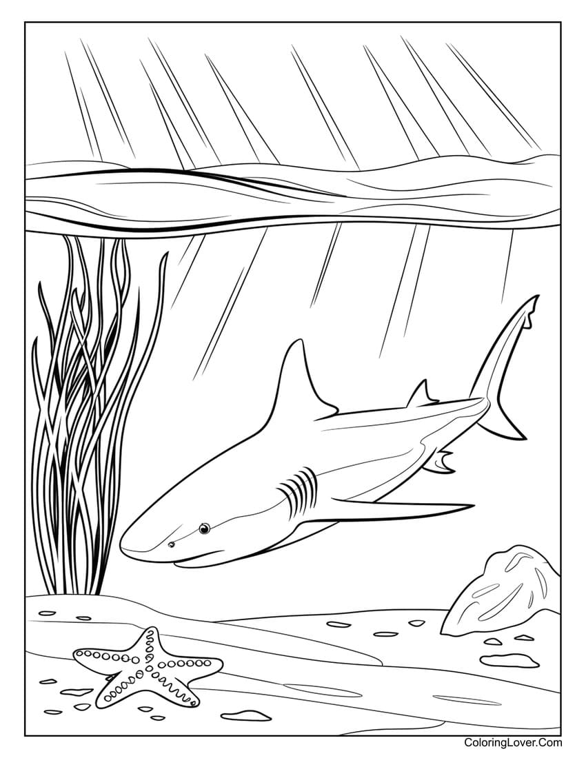 Shark Exploring Underwater Starfish Scene Coloring Page